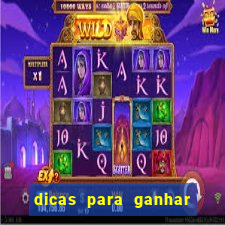 dicas para ganhar no fortune rabbit